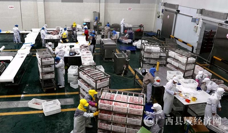 广西嘉豪实业有限公司大型肉牛肉羊屠宰深加工厂的